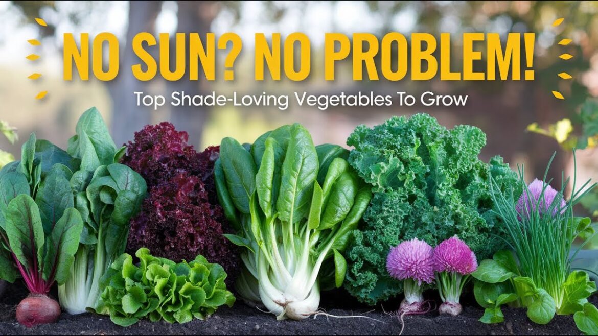 No Sun? No Problem! Top Shade-Loving Vegetables to Grow