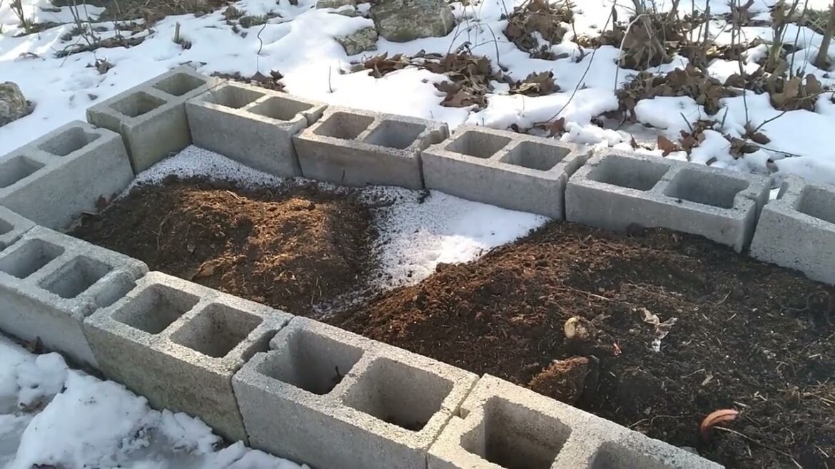 Garden Plans 2025 Garden Plans 2025