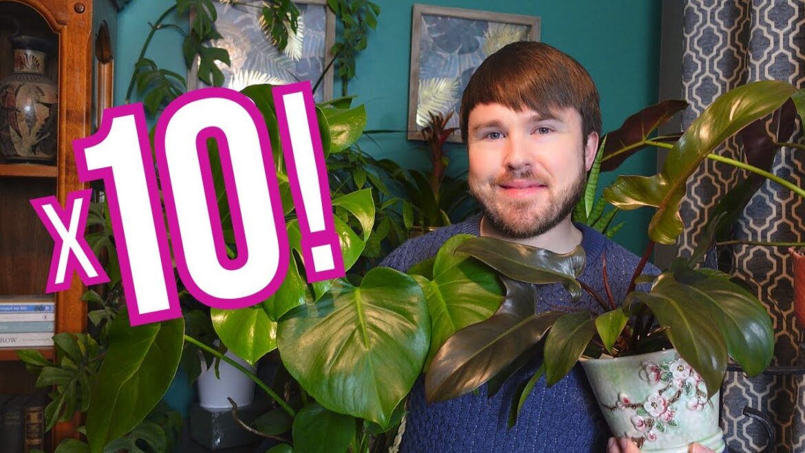 Houseplant Trends for 2025 + Upcoming Plant Style Trends Houseplant Trends for 2025 + Upcoming Plant Style Trends