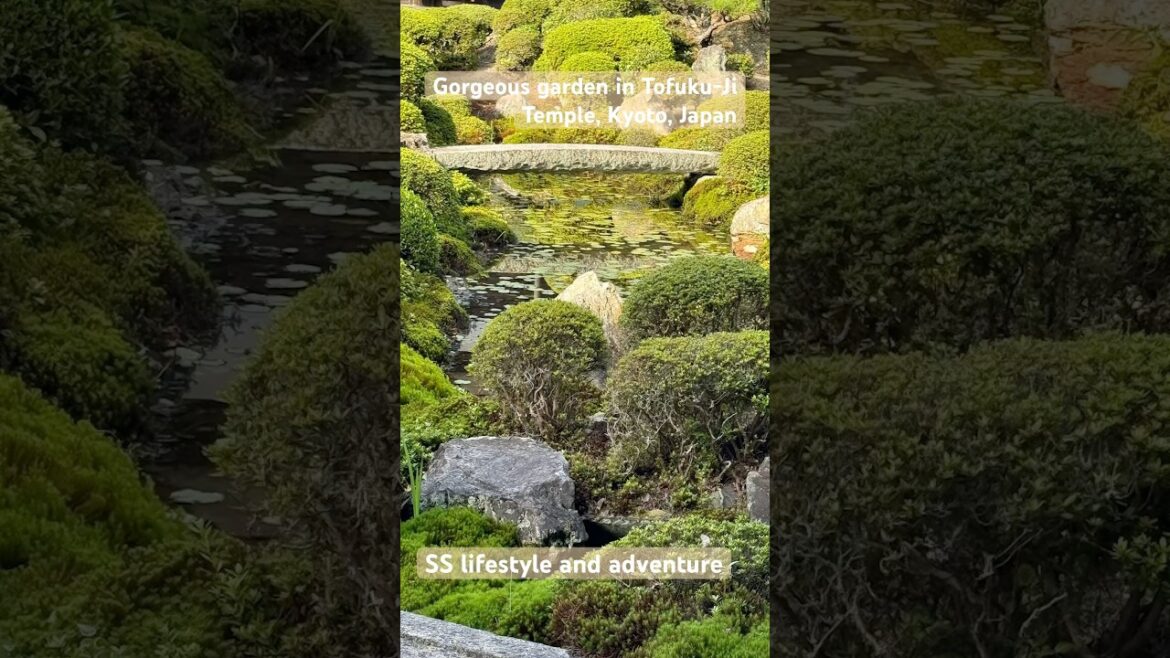 Beautiful garden in Tofuku-Ji Temple, Kyoto, Japan.