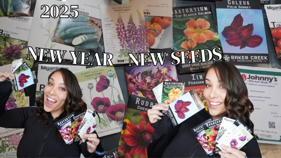 2025 FLOWER AND VEGETABLE SEED HAUL 2025 FLOWER AND VEGETABLE SEED HAUL