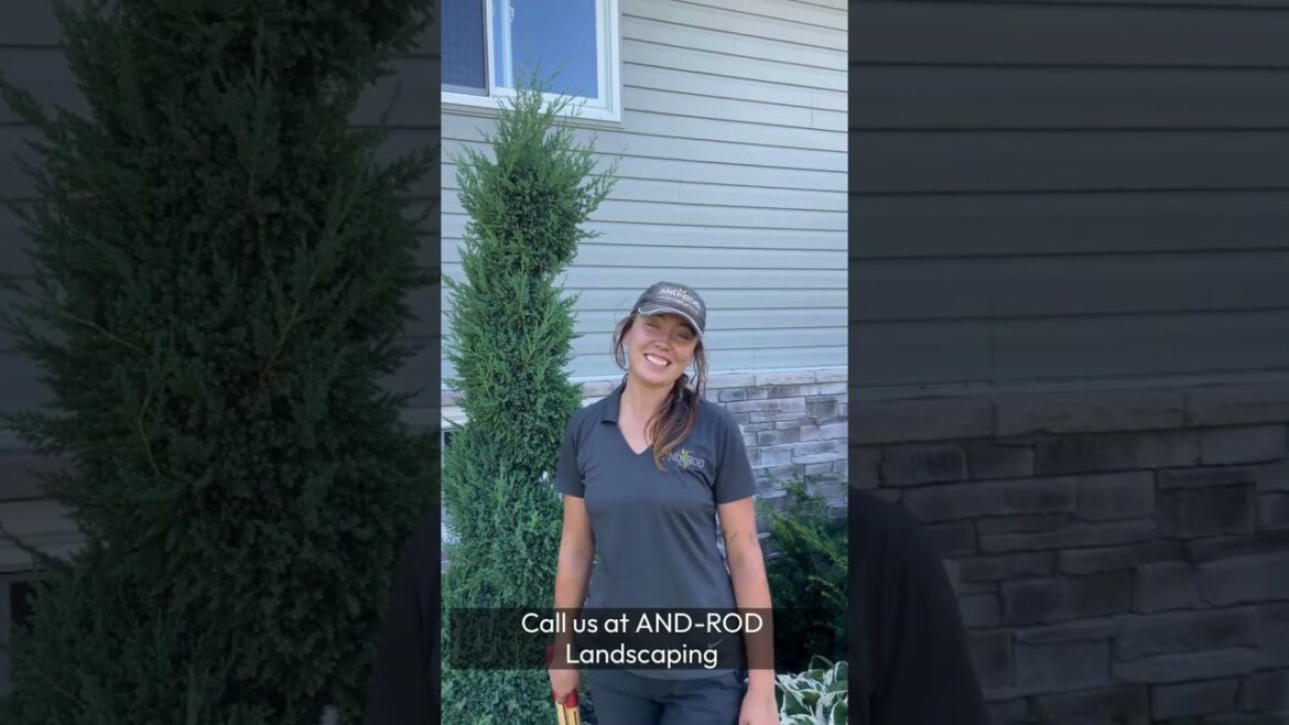 Expert Trimming Services for Perfect Landscapes | And-Rod Landscapes Expert Trimming Services for Perfect Landscapes | And-Rod Landscapes