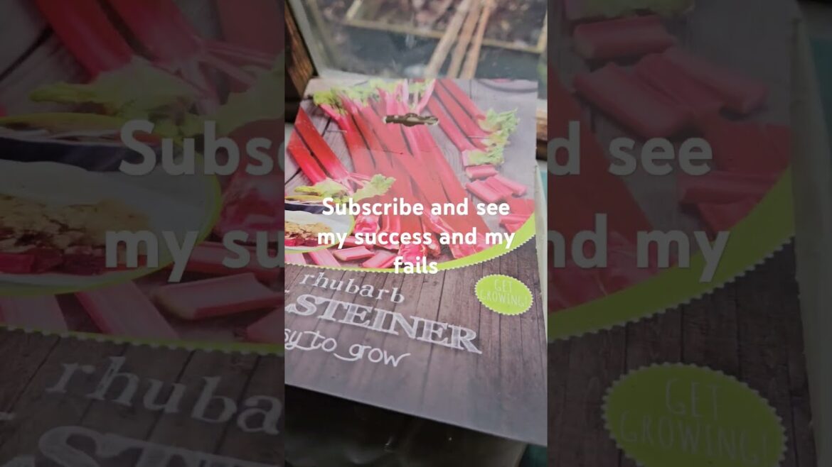 3 things I've never grown so come see if it'll grow #rhubarb #garlic #asparagus #allotmentlife