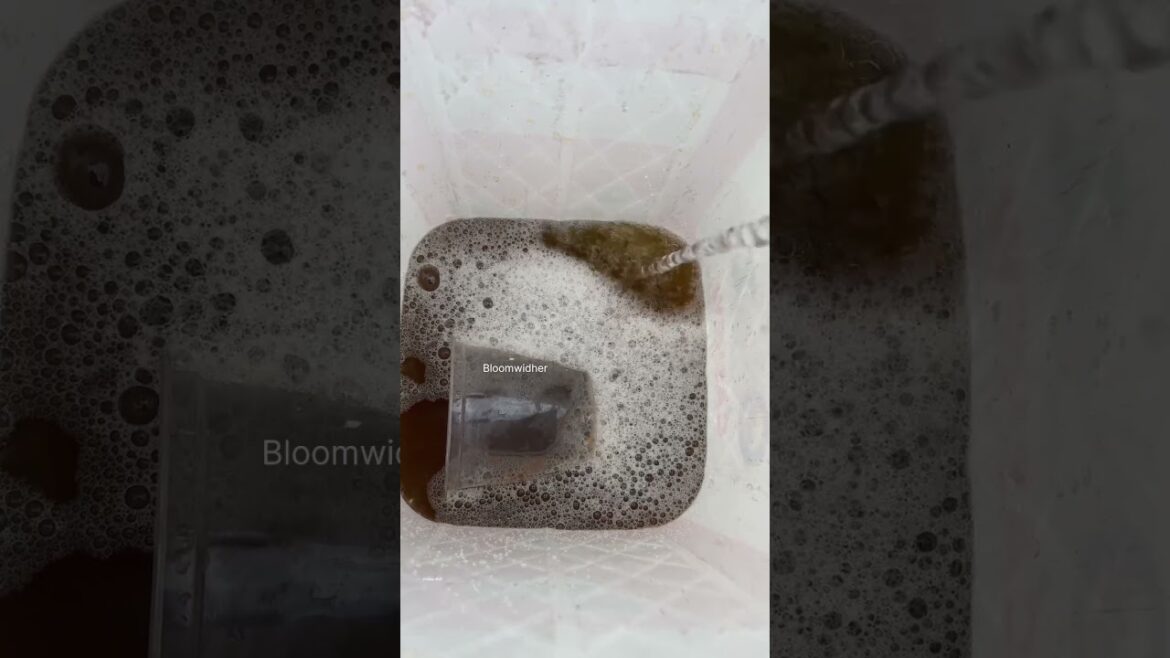 A Day in My Terrace Garden | Productive Gardening Routine 🌿🌸 #terracegarden #minivlog #shorts A Day in My Terrace Garden | Productive Gardening Routine 🌿🌸 #terracegarden #minivlog #shorts