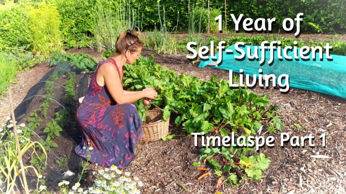 WHAT WE GROW IN A YEAR – Self-Sufficient Living in the UK – 1 Year Timelapse – Part 1/2 WHAT WE GROW IN A YEAR - Self-Sufficient Living in the UK - 1 Year Timelapse - Part 1/2