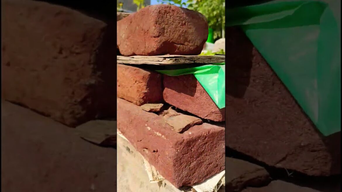 Leafy vegetable gardening at home #trandingshorts #viralvideo