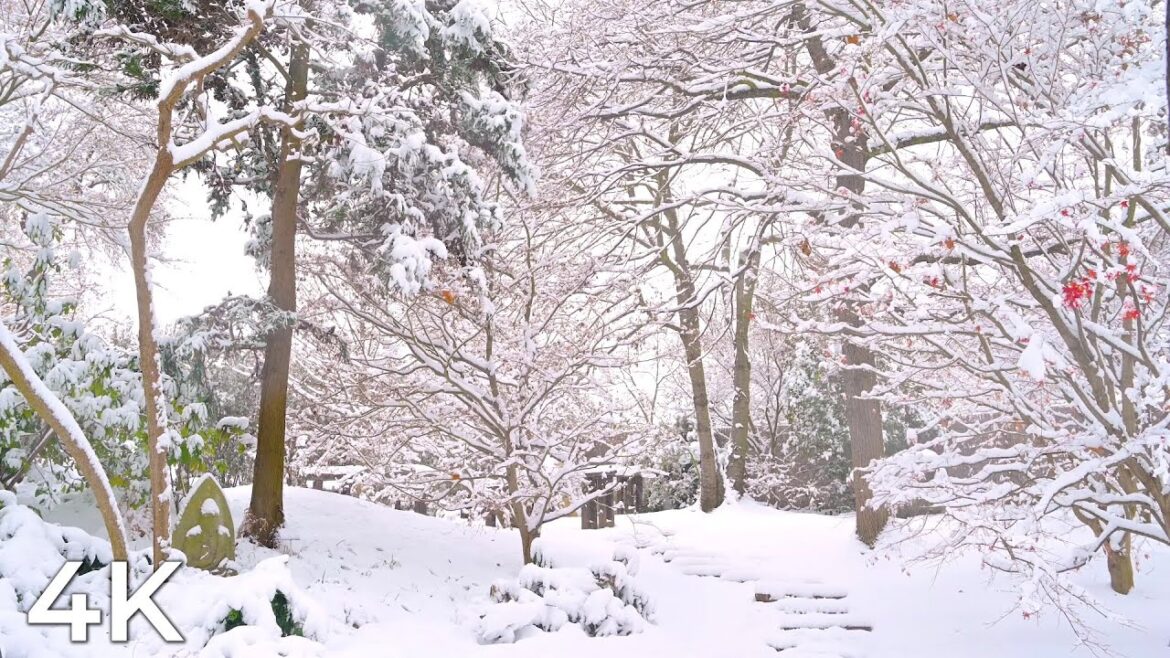 Relaxing Snowscapes: Snowfall in a Japanese Garden 4K