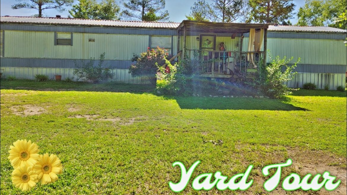 Our Front Yard landscape tour Our Front Yard landscape tour