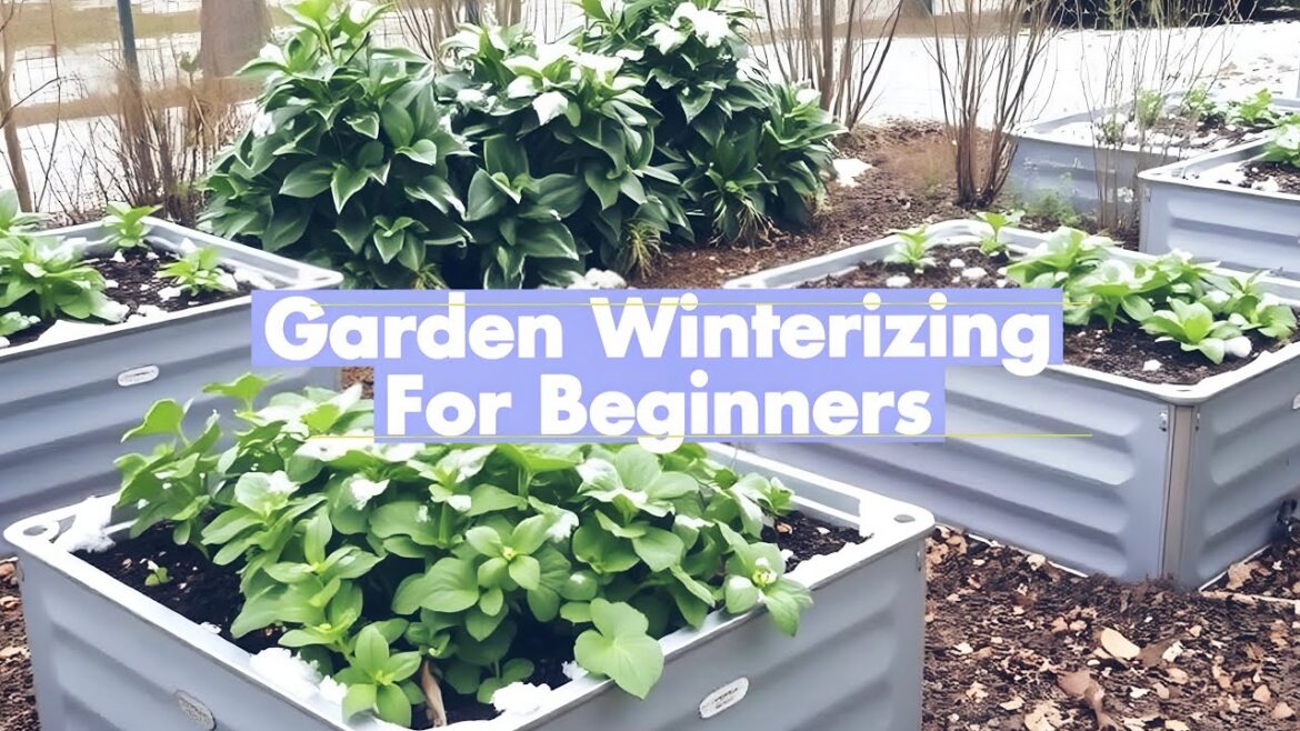 Final Steps for Winterizing my Garden – 4 Easy Tips 🥶❄️🥶❄️ Final Steps for Winterizing my Garden - 4 Easy Tips 🥶❄️🥶❄️
