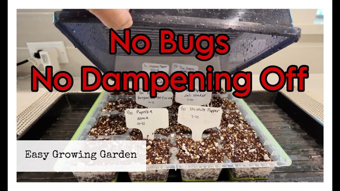 How To Make An Indoor Seed Staring Mix + New Way I’m Starting Seeds How To Make An Indoor Seed Staring Mix + New Way I'm Starting Seeds