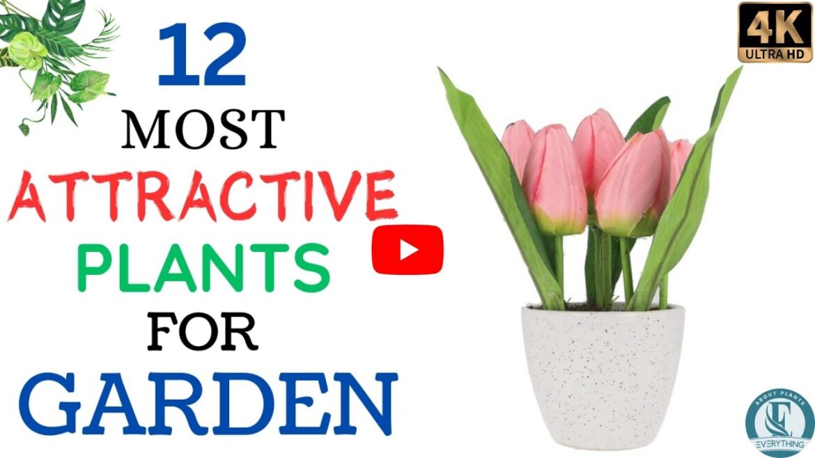 12 Stunning Plants That Will Transform Your Garden into a Paradise | Attractive Plants for Garden . 12 Stunning Plants That Will Transform Your Garden into a Paradise | Attractive Plants for Garden .