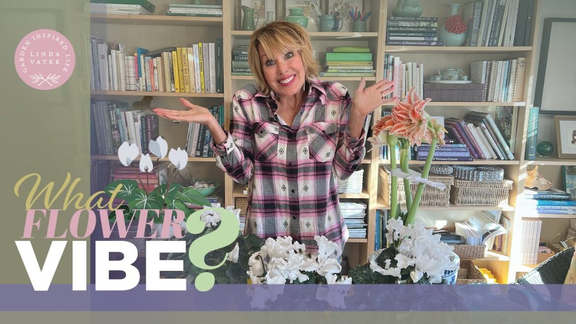 What Flower VIBE Should I Choose?