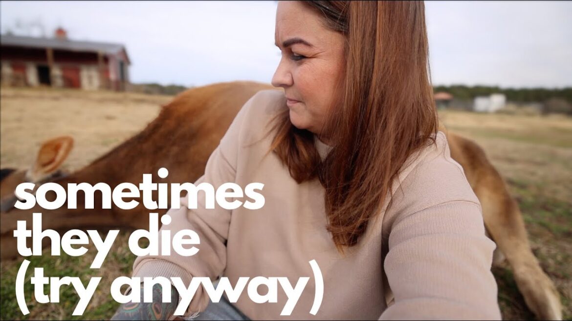 Sometimes they die (Try anyway) | VLOG