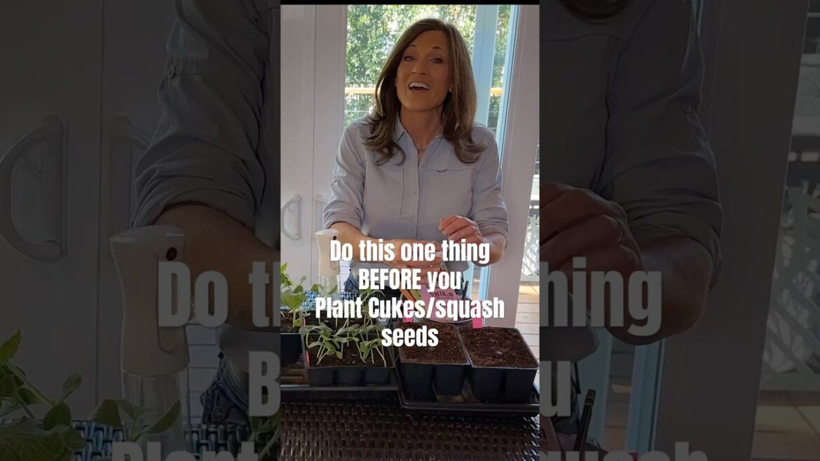 Do this one thing  BEFORE