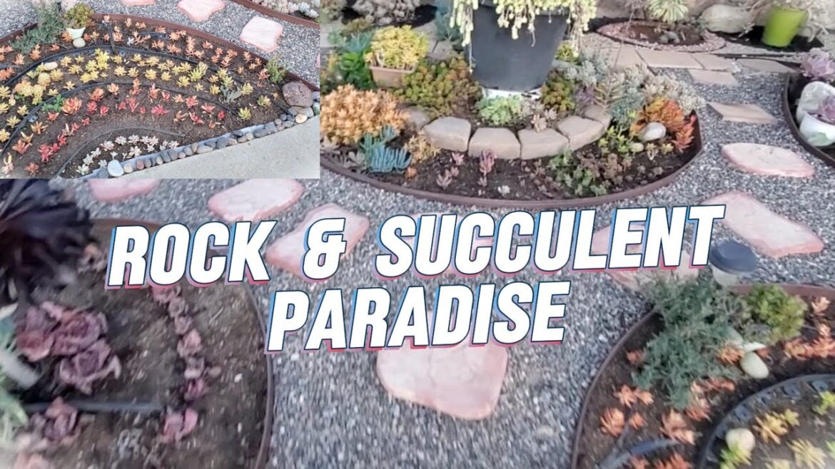 Low-Maintenance Front Yard Garden Ideas | Succulent Tour