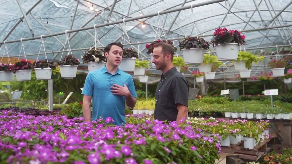 Spruce Software for Landscape and Garden Supply Merchants UK Spruce Software for Landscape and Garden Supply Merchants UK