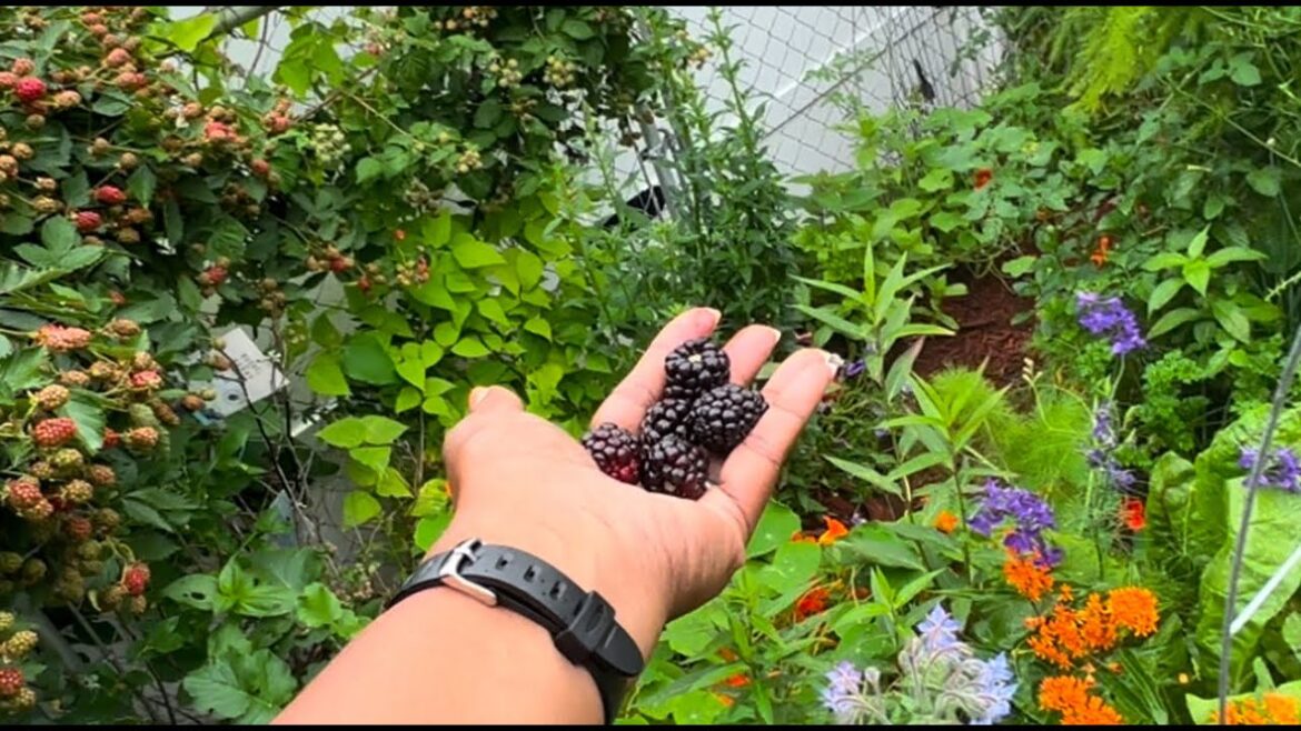 Epic Homestead Living #transformation Epic Homestead Living #transformation