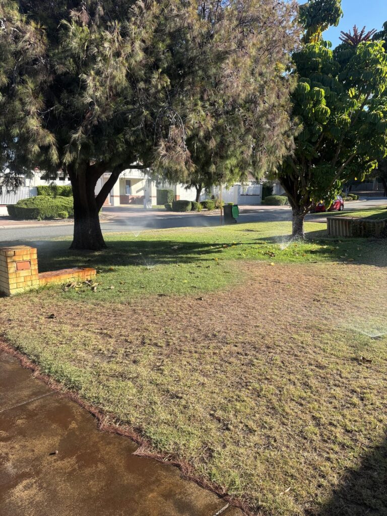 Need help. What is going on here? WA- Australia