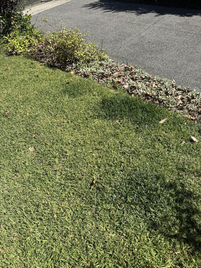 Healthier looking dark spots  ? Healthier looking dark spots  ?