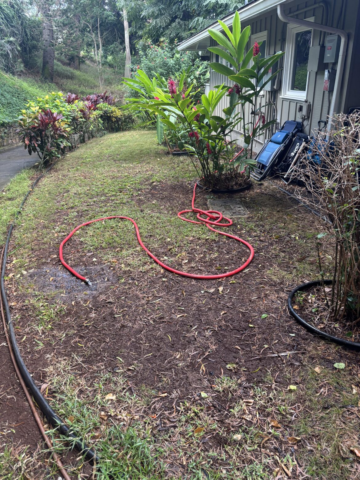 Help with bare patches Help with bare patches