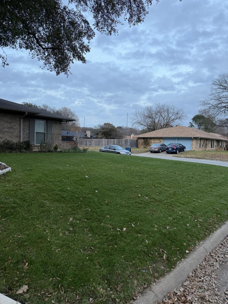 First cut after 11/22 TTTF Reno (DFW area) First cut after 11/22 TTTF Reno (DFW area)