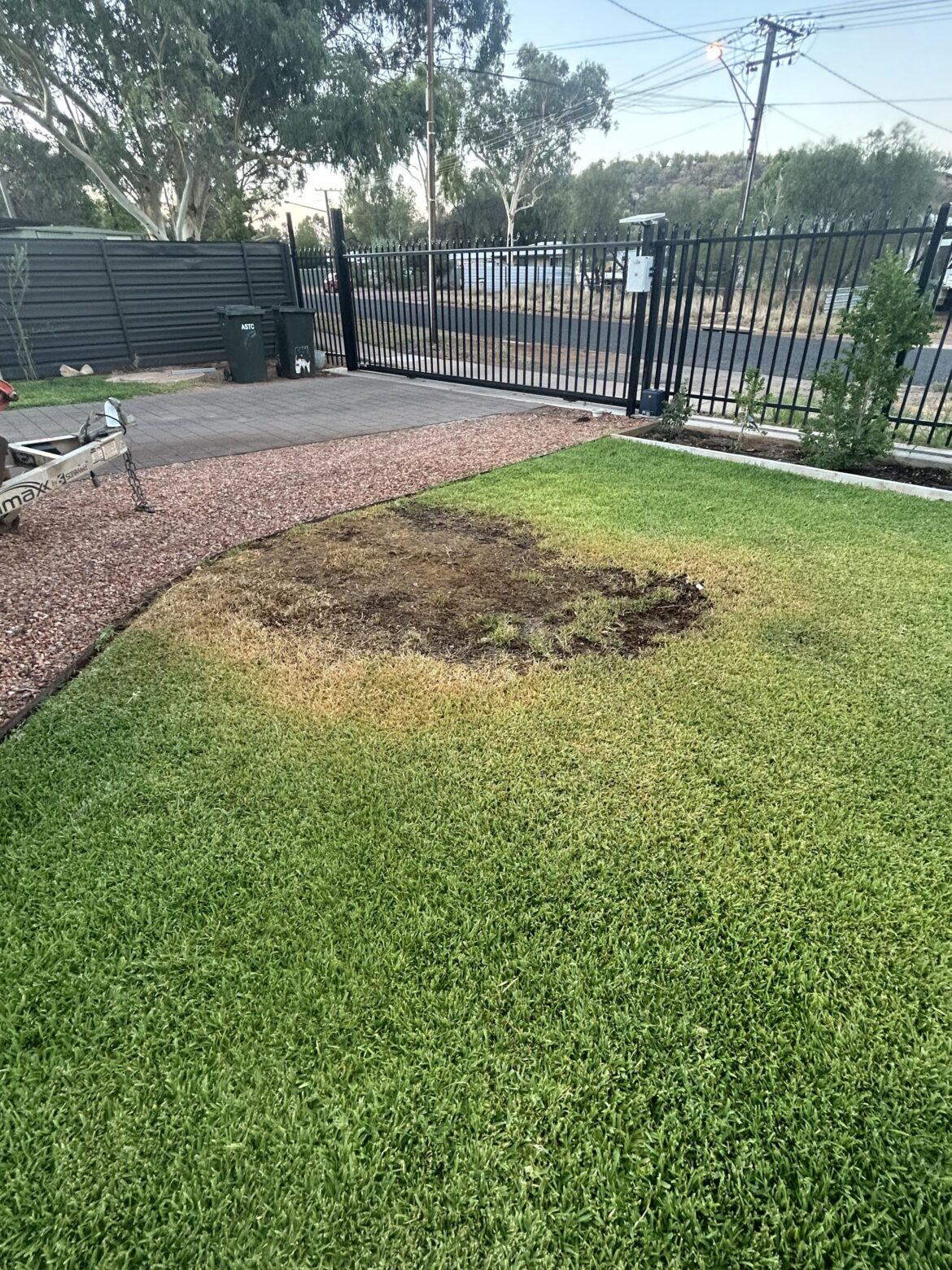 What’s happening to my lawn