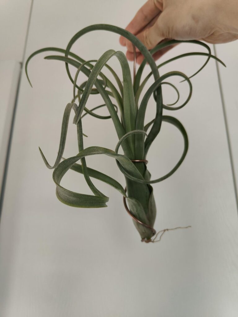 Could anyone help me identify this