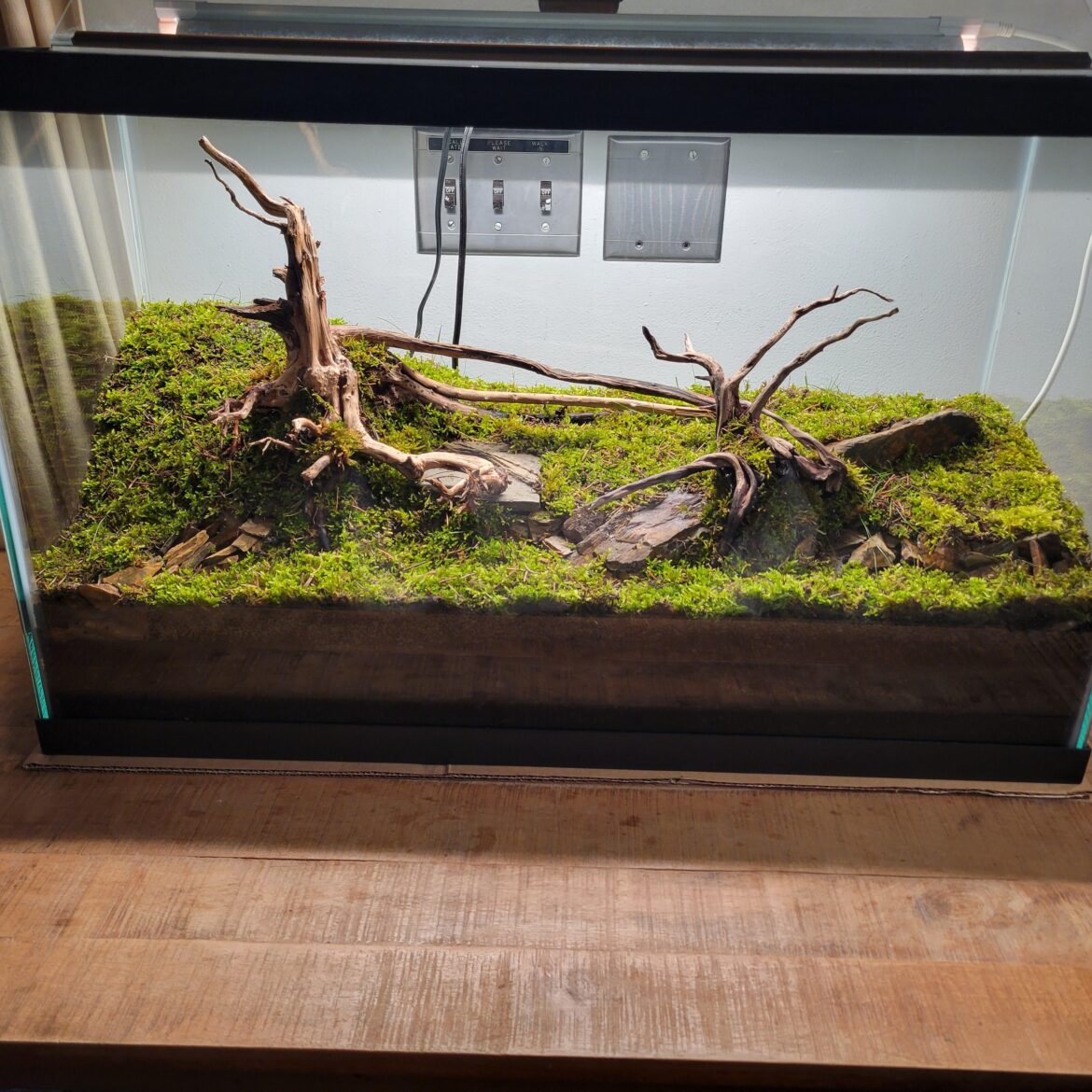 Base layer setup complete!