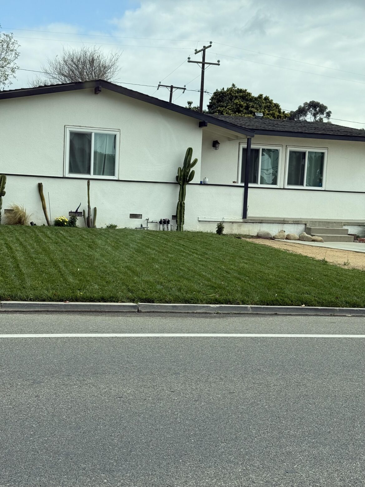 Watering Questions Watering Questions