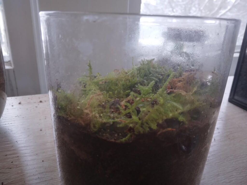 How do these look?
