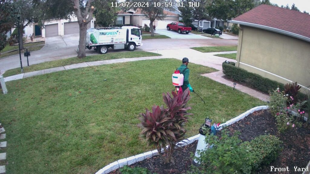 True green disaster, what I can do?