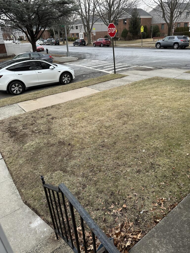 Recommendations? Recommendations?