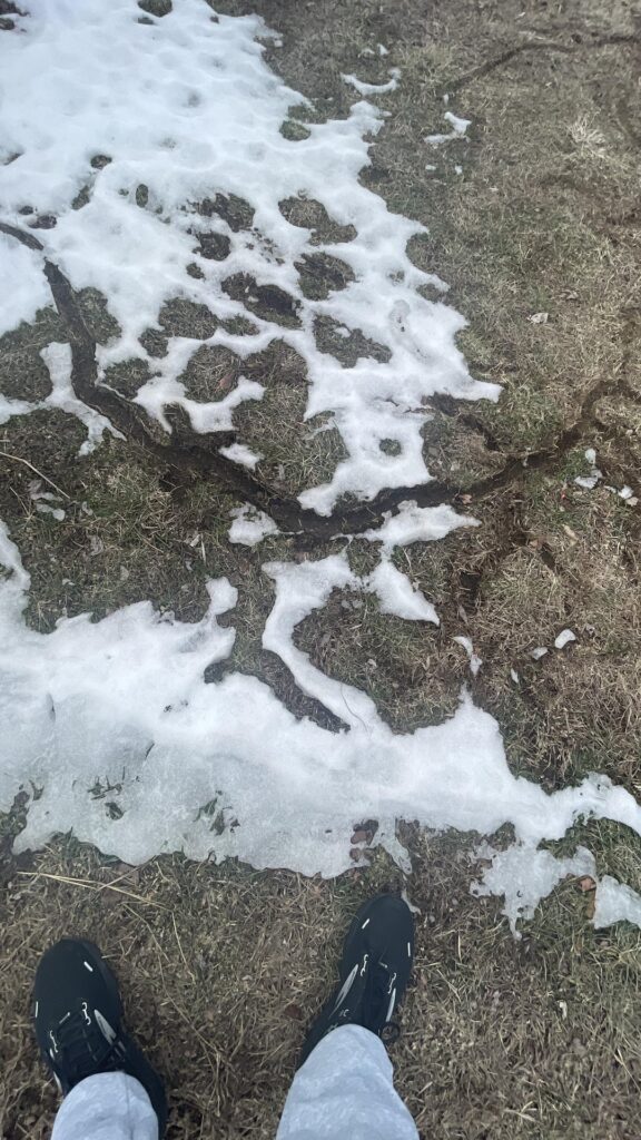 What type of animal is making these tracks? What type of animal is making these tracks?