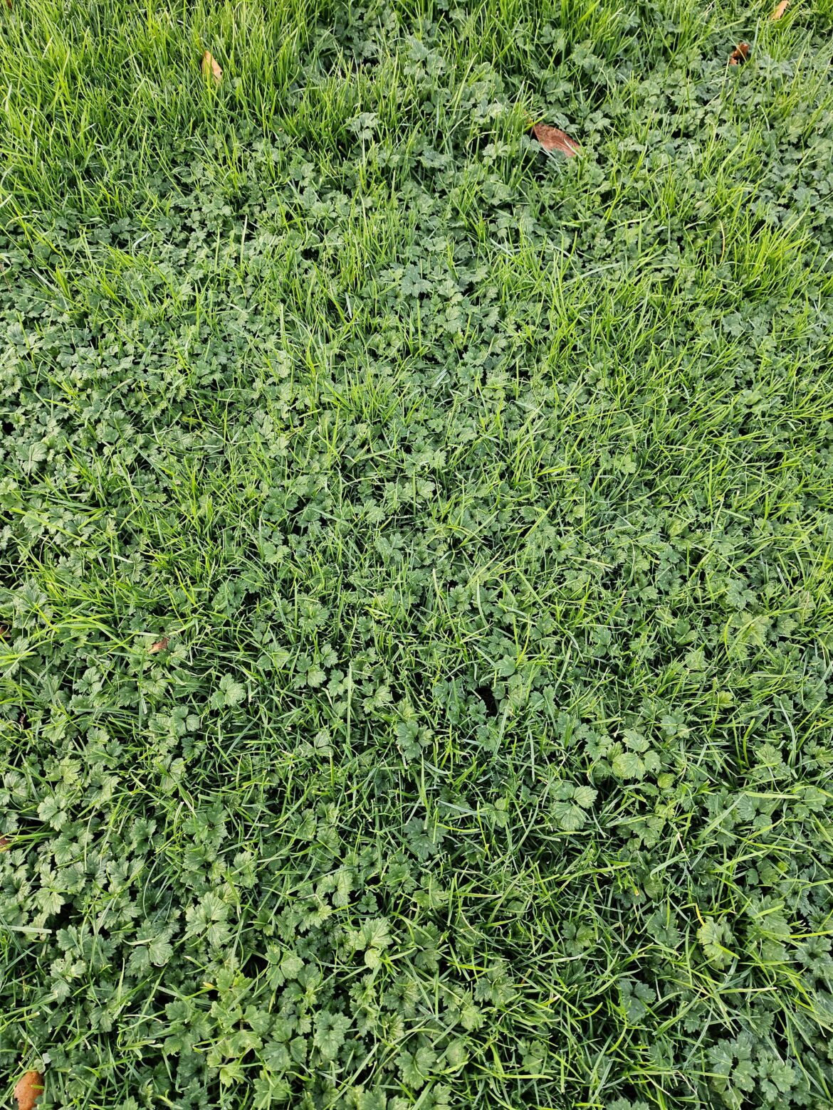 How do I get rid of this?