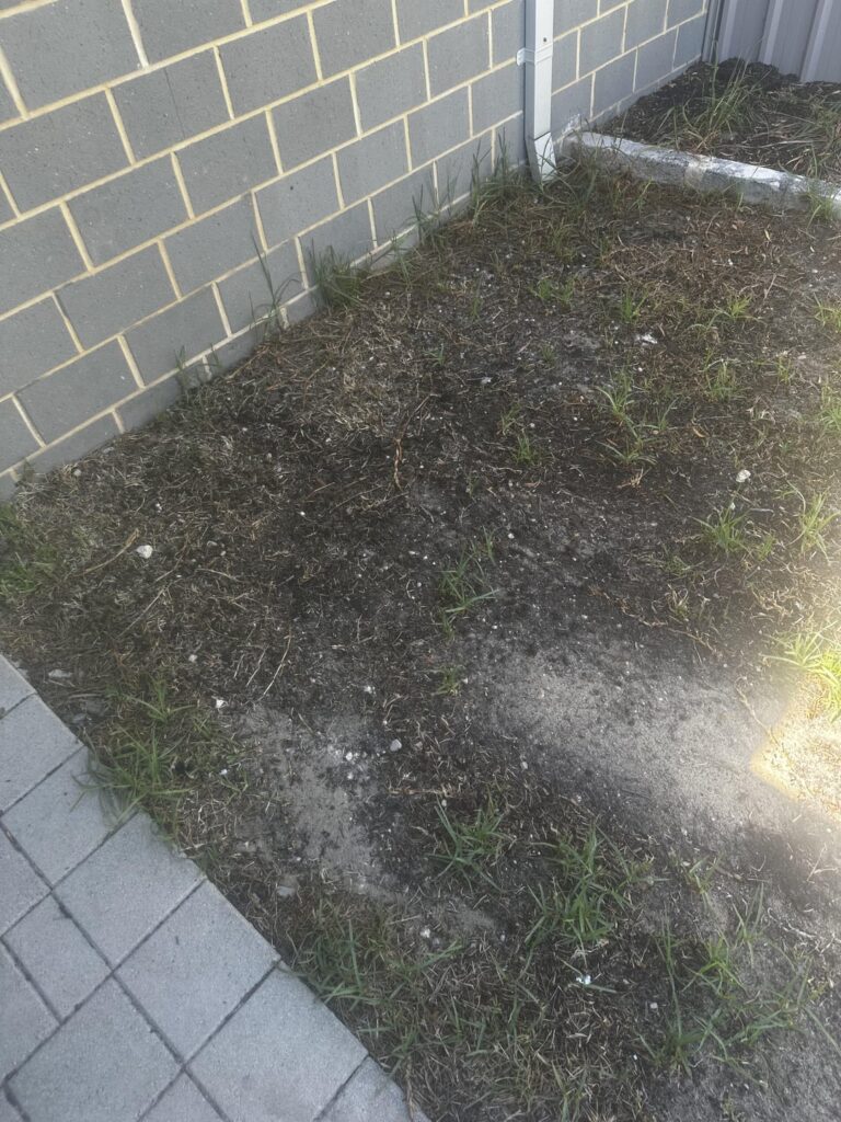 Recently inherited this monstrosity, please help me bring it back to life Recently inherited this monstrosity, please help me bring it back to life