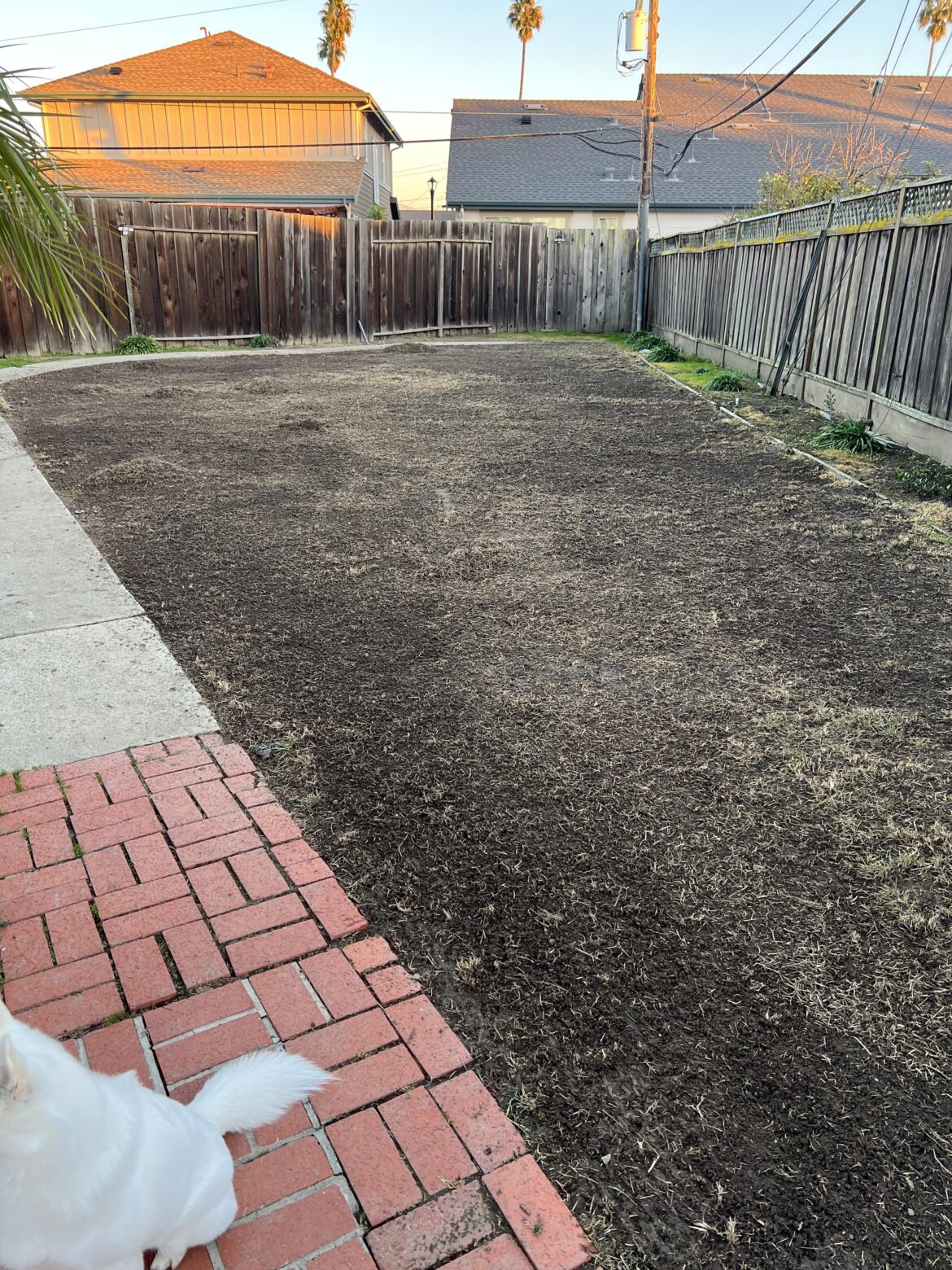 Cultivator or just leveling rake? Cultivator or just leveling rake?