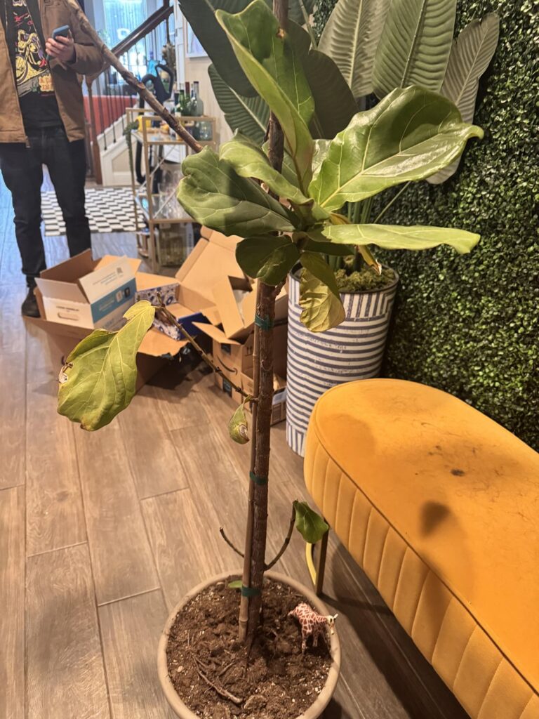 How should I chop and prop this?!