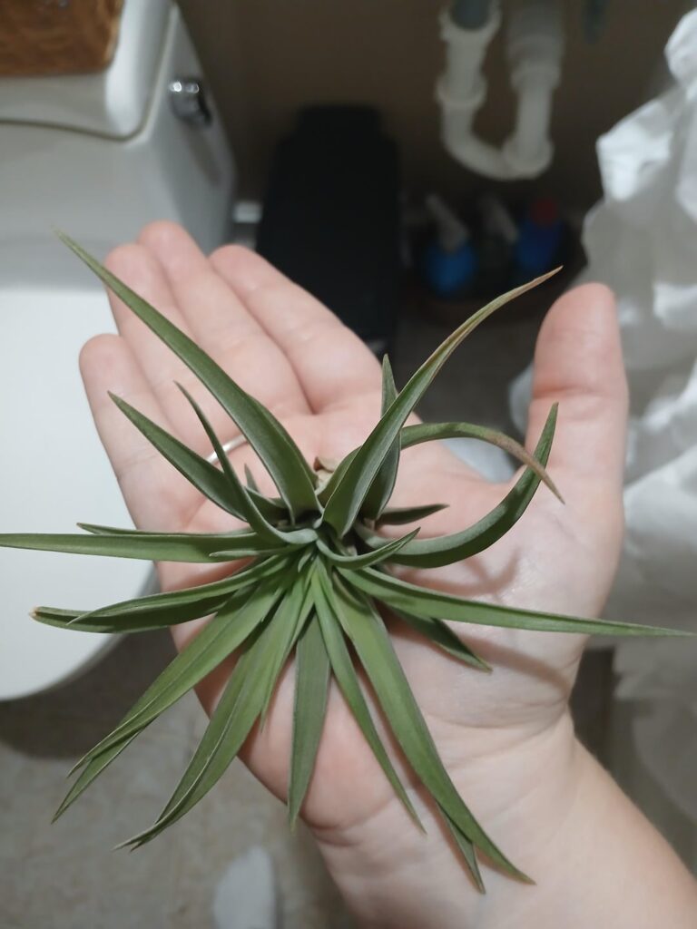 Are we allowed to ask for ID here?