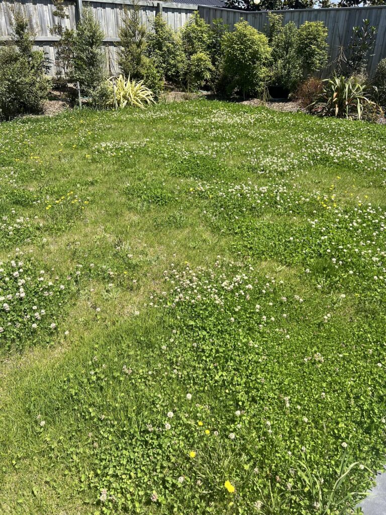 How do I use a lawn mower How do I use a lawn mower