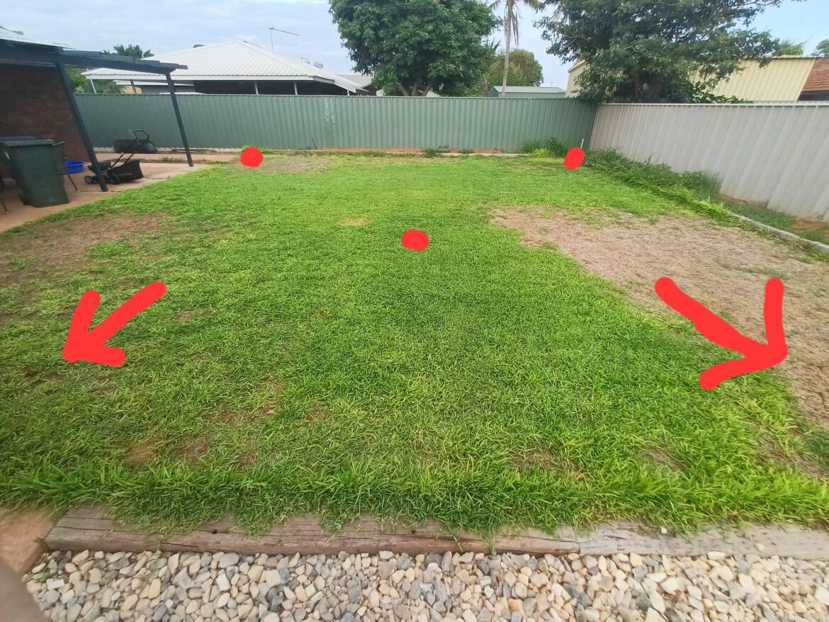 Why is my grass dying? Why is my grass dying?