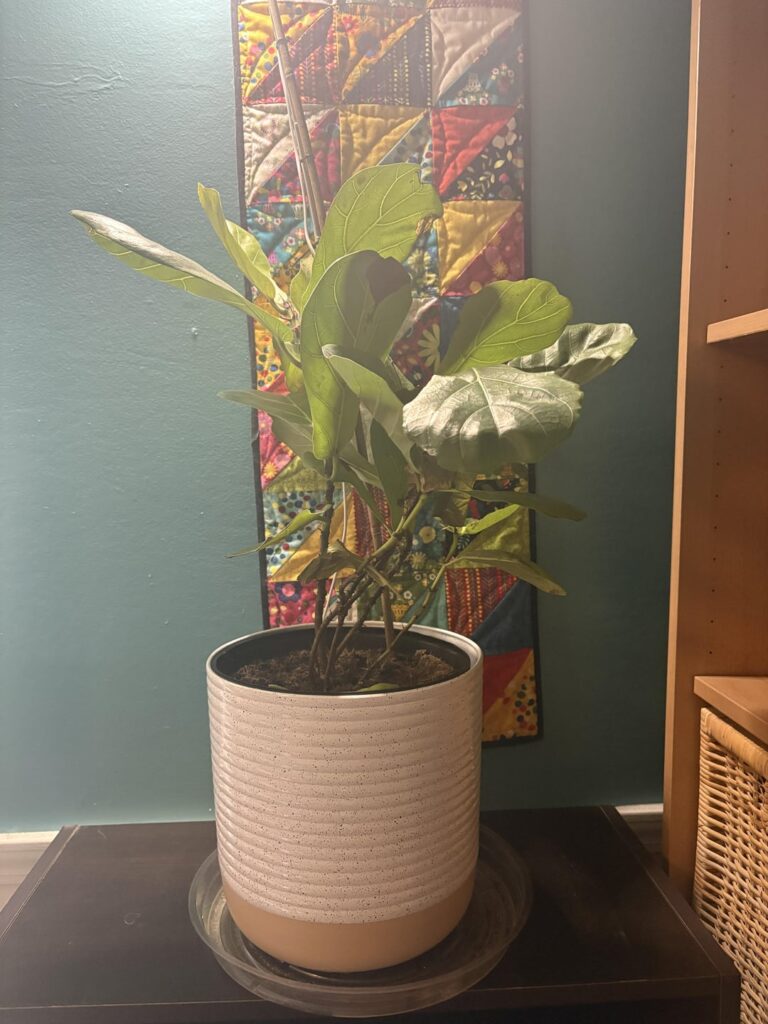 I have 2 of these guys. They make me crazy.