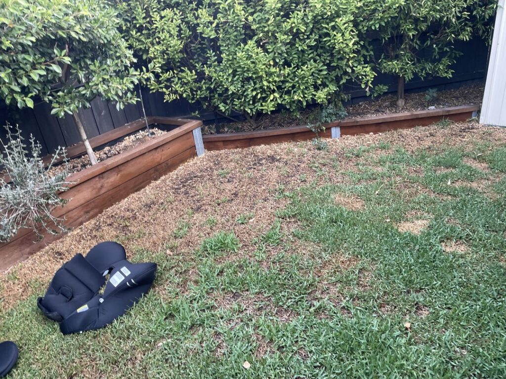 What is happening? What is happening?