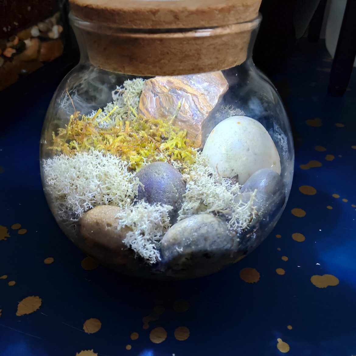 Got A Little Moss Bowl For Xmas, Supplemented It With Some Coco-Coir and Rocks From My Yard