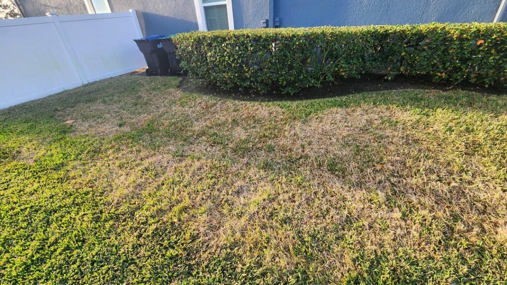 Help Identifying issue Help Identifying issue