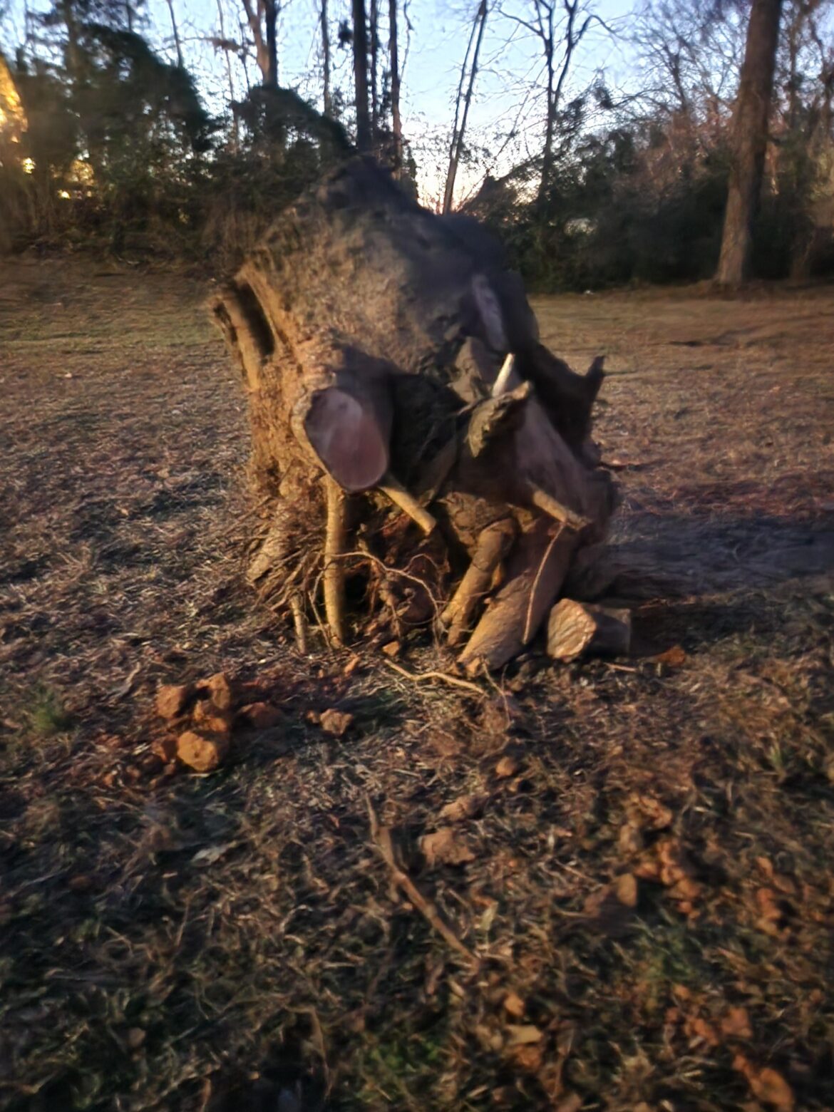 How dumb of an idea is it to...