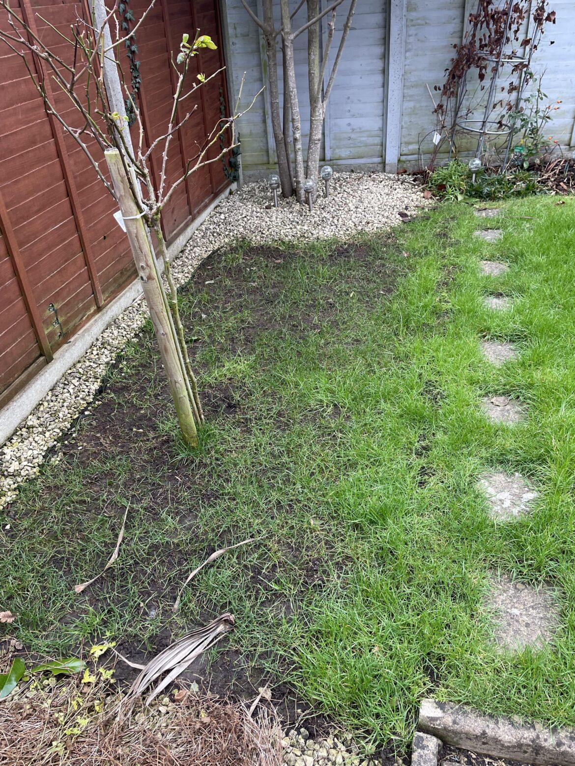 Suggestions to improve for summer