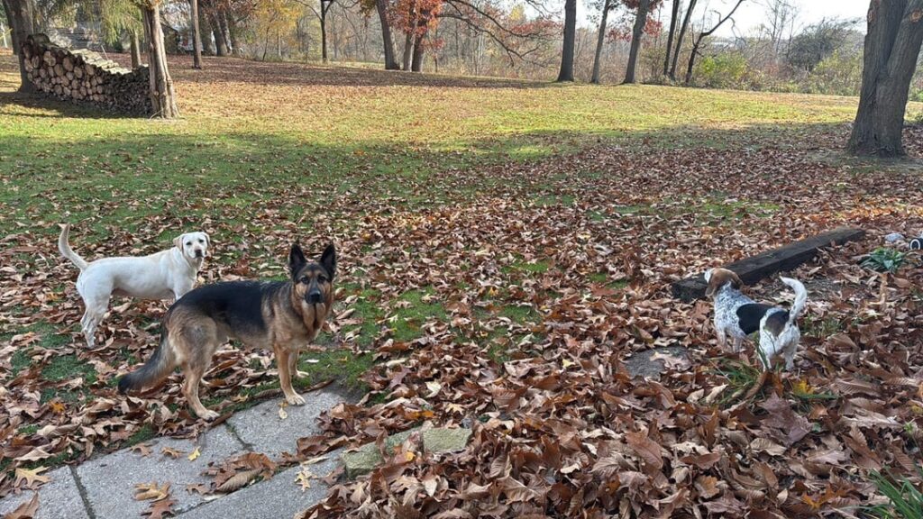 Best steps for the Spring?