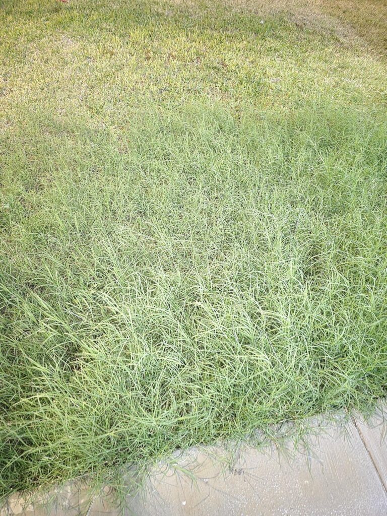 What is this and how do I stop it from taking over?