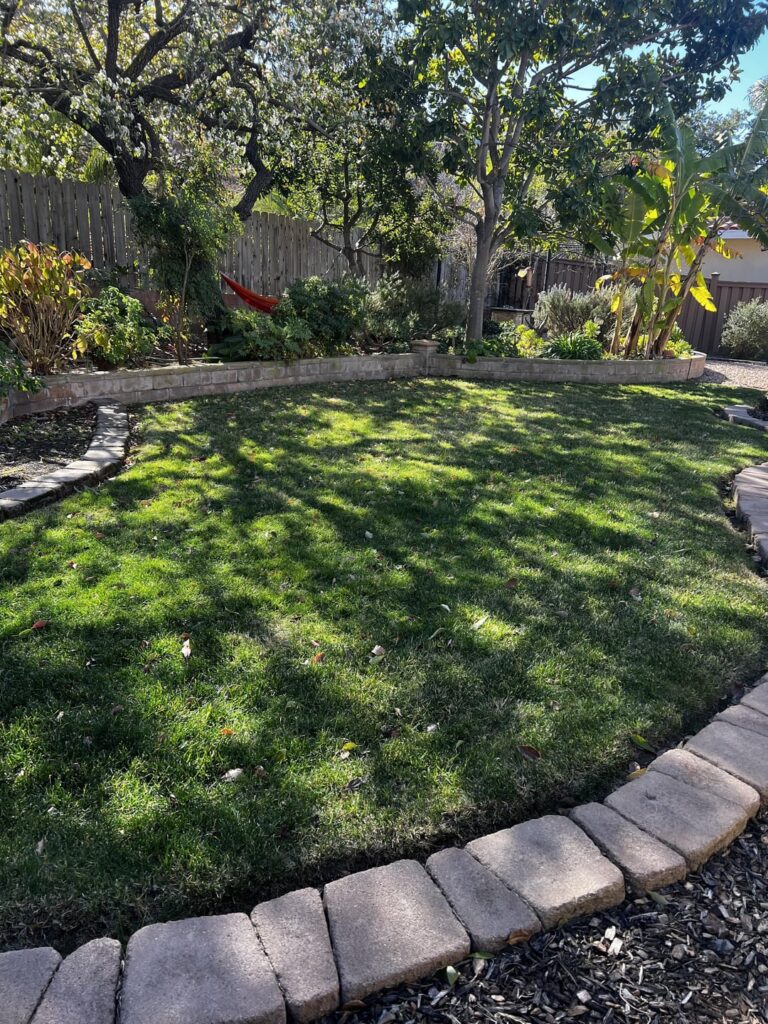 10a (San Diego) lawn question- what are these “dead” spots? 10a (San Diego) lawn question- what are these “dead” spots?