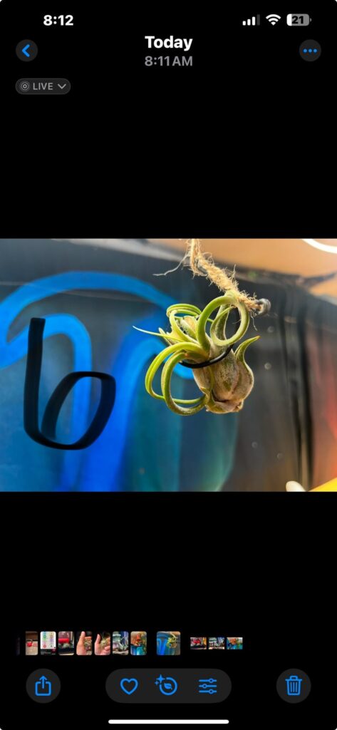 Name of these ? Which one may not like tho be completely in water ?